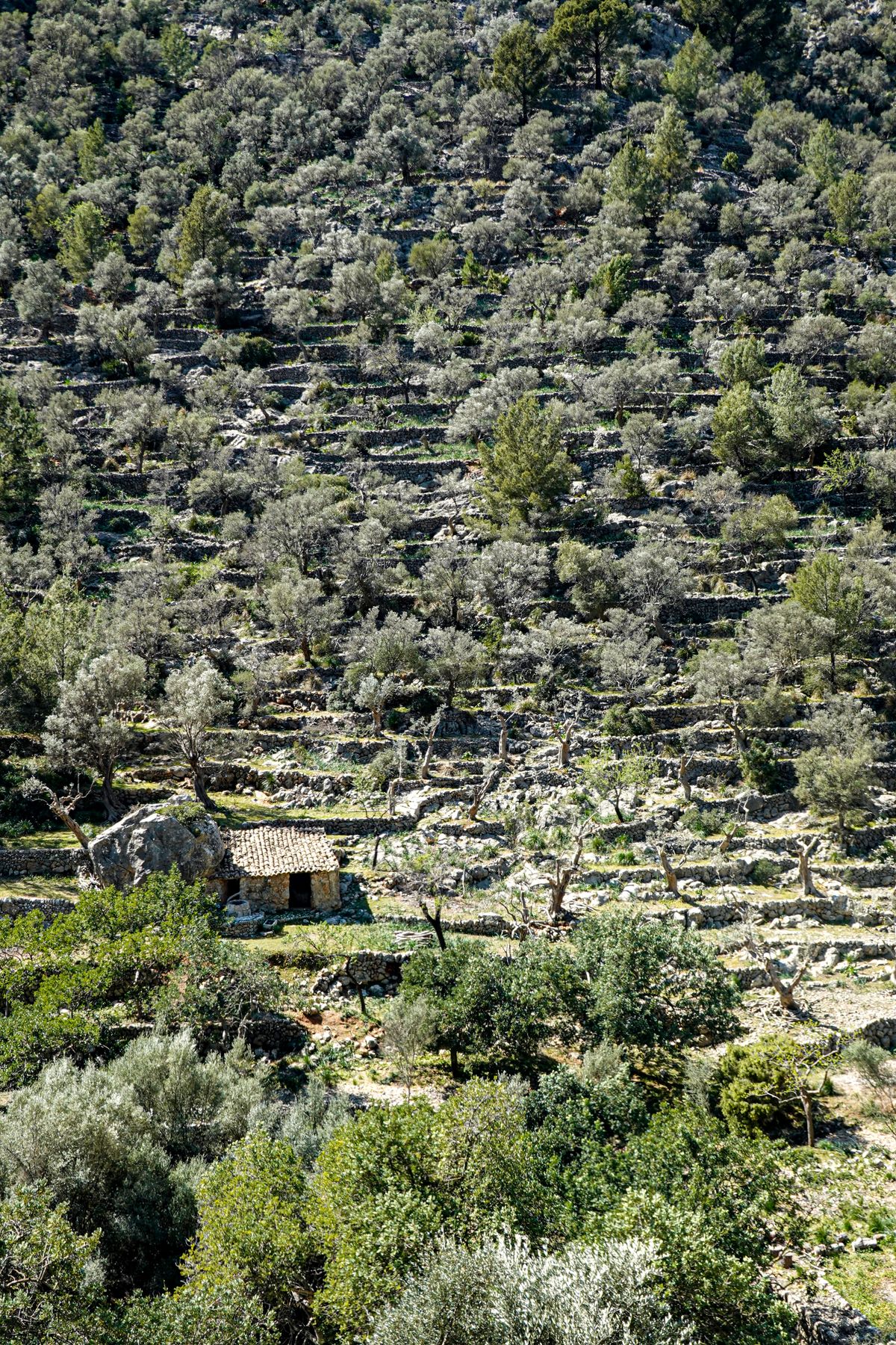 Mallorca, März 2023, 7. Radtag