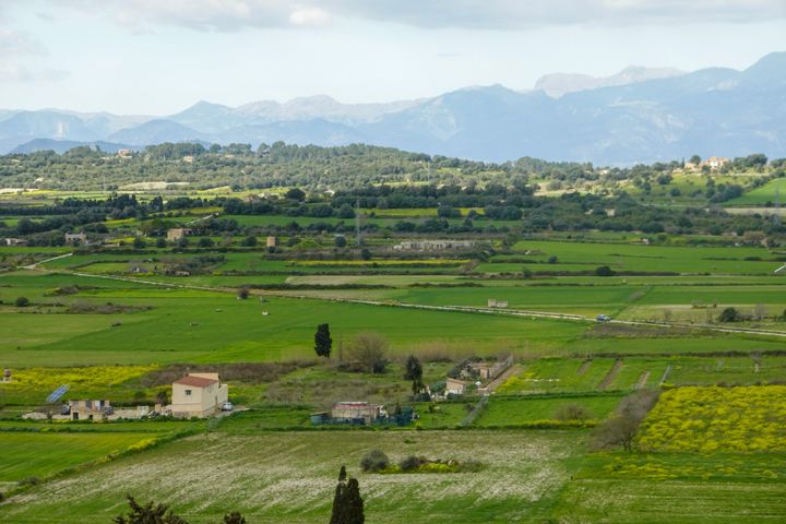 Mallorca, März 2023, 4. Radtag